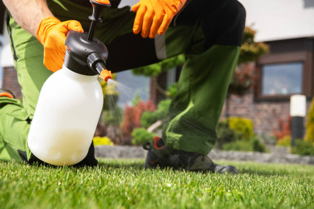 Best Affordable Pest Control Services  in De Pere, WI